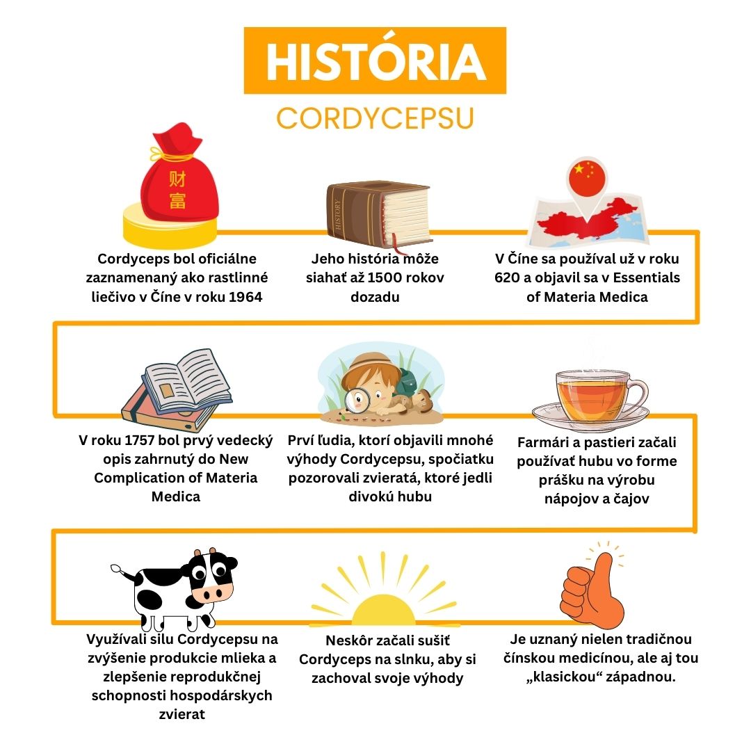 História Cordycepsu